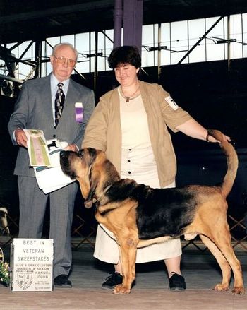 Toby winning Best Veteran Male at the Eastern Specialty
