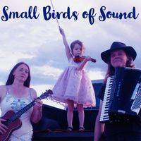Small Birds of Sound by Small Birds of Sound