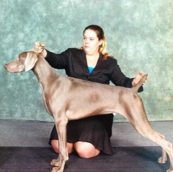 Joey Best of Breed at 7 months over specials
