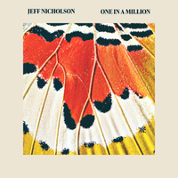 One in a Million by Jeff Nicholson