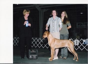 Zulu's 1st point! With handler Julie Mullinax and owner Jussica Roberts.
