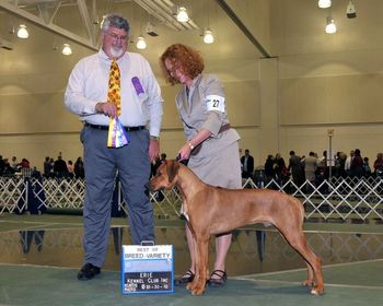 Best Of Breed from the puppy class Erie Kennel Club January 2010.

