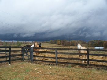 Fall skys.
