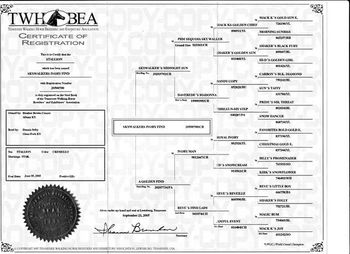 This is our cremello stallion's pedigree. His barn name is Luke.
