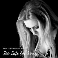Too Late For Sorry by Paul James ft Sonic Monkey