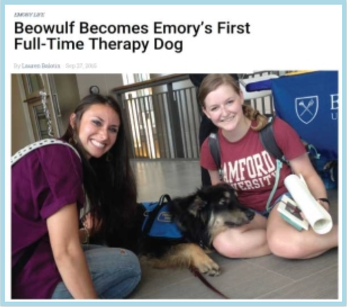 Beowulf Becomes Emory's First Full-Time Therapy Dog