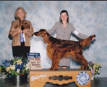 Mattie went Best of Winners at the Terry-All Show April 2009. Mattie was shown to perfection by Shea Jonsrud.
