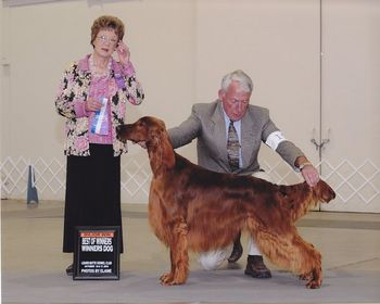 Best of Winners at the Boise Shows for his 1st major. Connor was shown to perfection by Paul Holmes.
