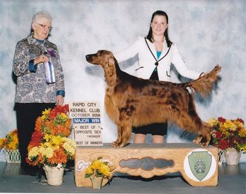 Paddie recieving her 3rd major at the 2009 Rapid City Show. Groomed and shown beautifully by Shea Jonsrud.

