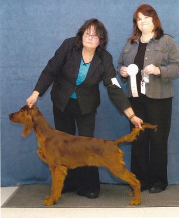 Lucy wins Best Bred By In Match January 2011
