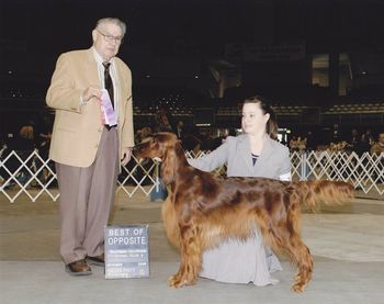 Mattie received Best of Opposite at the Puelbo Show in November 2008. She was shown to perfection by Shea Jonsrud.
