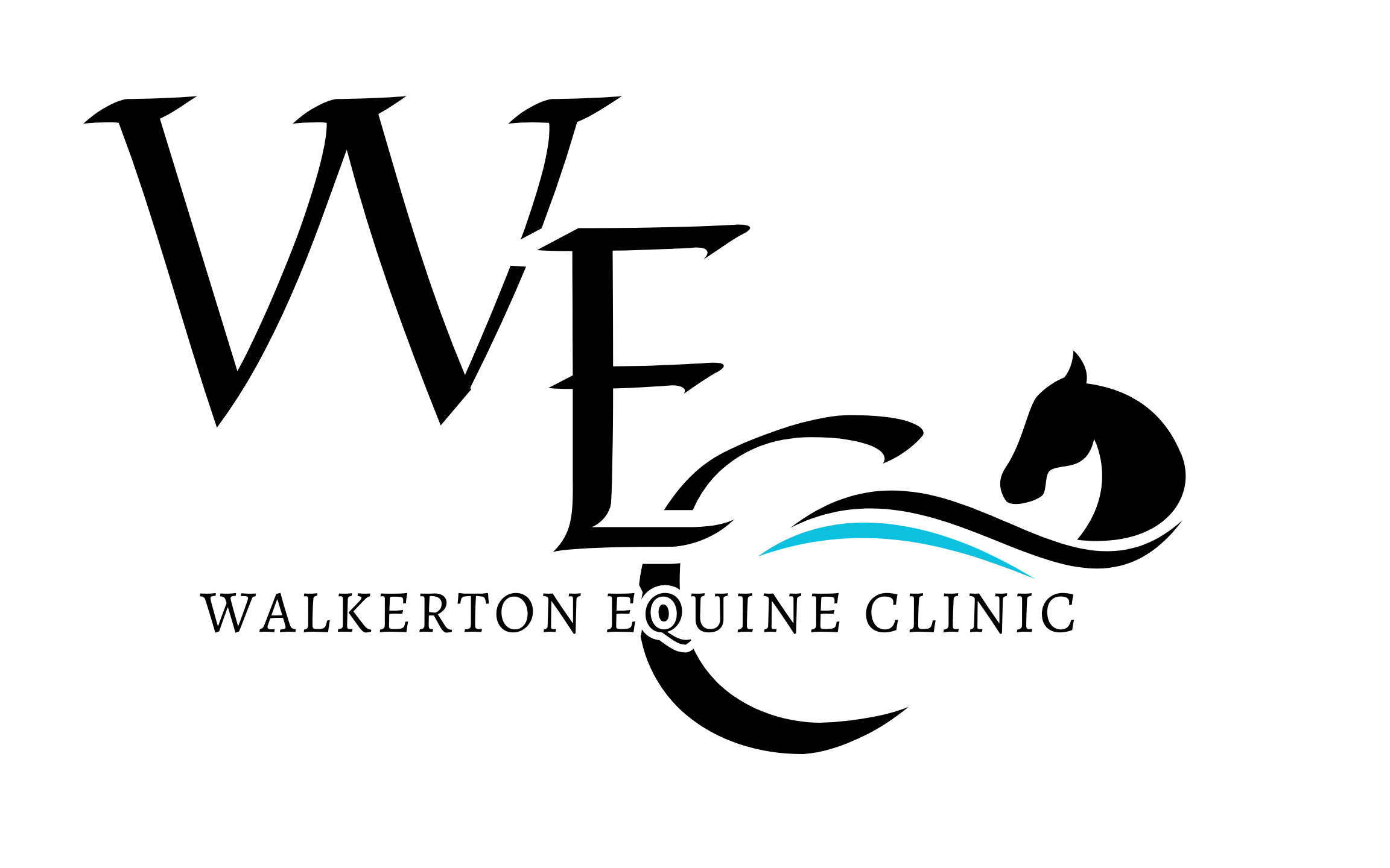 Walkerton Equine Clinic
