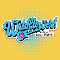 Matt Hillyer Solo Acoustic at Wildflower Arts and Music Festival