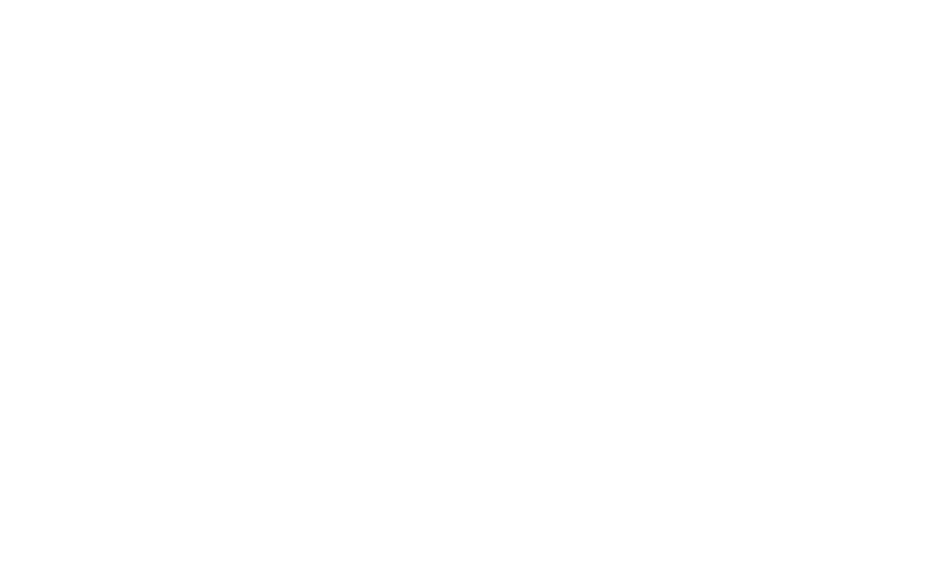 The Lonely Fighters