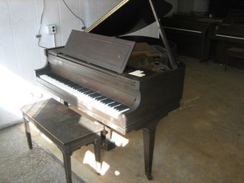 1925 Packard 5.5 ft Baby Grand. Came in with dead finish, cracked bass bridge and missing strings but had great potential and sound
