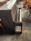 Emerson 50 inch box upright with bench.