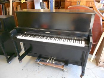 1986 Baldwin 243, was Walnut with a beat up cabinet, polished pedals, new key tops, Semi Gloss Black finish/ bench
