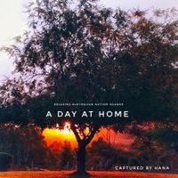Sounds From Home by Soundslikehana
