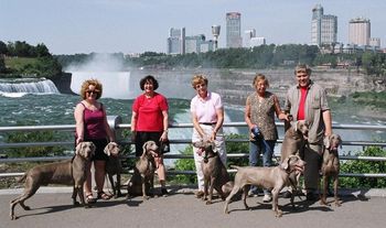 With friends on the way to the 2006 Weimaraner National Specialty.
