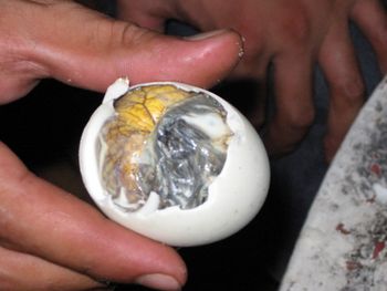 BALUT. You don't wanna know...
