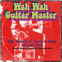 Wah Wah Guitar Master - Sample DEMOS - Taster Pack by U-Nam