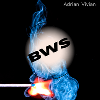 BWS by Adrian Vivian