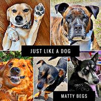 Just Like A Dog by Matty Begs