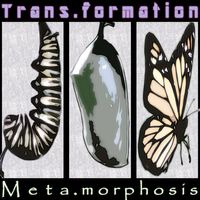 Meta.morphosis by Trans.formation 