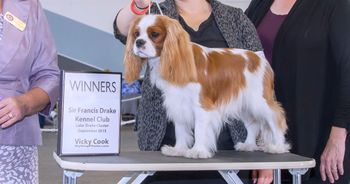 12 months old, Winners Dog under Judge Sandy Gelinas
