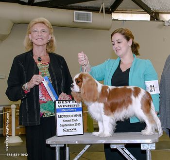 12 months old, Winners Dog and Best of Winners for a MAJOR under Judge Betty Regina Leininger
