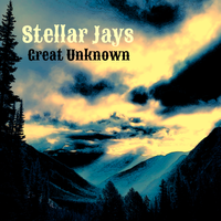 Great Unknown by Stellar Jays