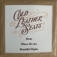 Cold Leather Seats- CD