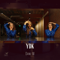 YDK  by Dani W 