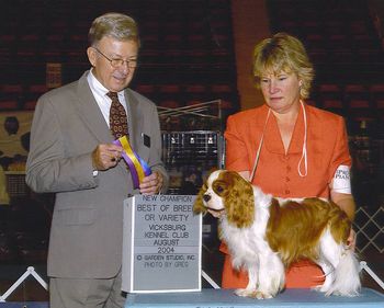 AKC CH Chryshan James Coburn for Tomnee Owned by Fraye Nellums A.K.A "Jimmie"
