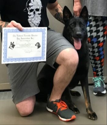 BIG CONGRATS !!!! Our first Narcotics dog from our kennel !
