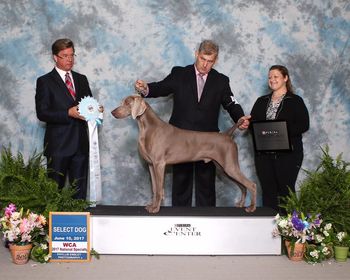Skeeter winning Select at the WCA Nationals
