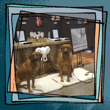 Charm & Arya  entertaining people at our Meet The Breed booth at Eukanuba, 12/15
