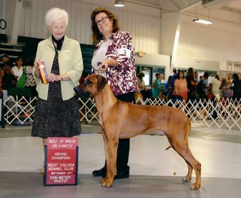 GRAND CHAMPION!  9/17  West Volulsia Kennel Club show
