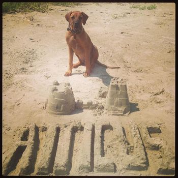 Atticus!  Now that's one talented puppy!!!
