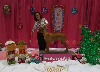 WINNERS DOG!  His FIRST point, 3rd show, Eukanuba week!
