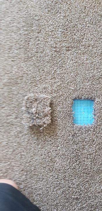 Cut- pile carpet small repair

