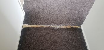 Seam after home owner cut for floor repair....
