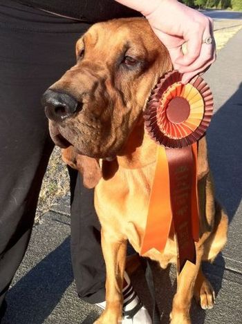 Jethro graduated 3rd out of a class of 15.

