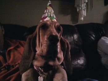 Cora's 1st birthday
