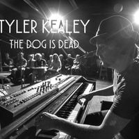 The Dog Is Dead - Live by Tyler Kealey