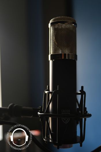 Lauten Audio LA-320 Large-diaphragm Tube Condenser Microphone 2

