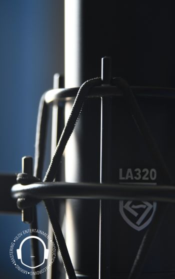 Lauten Audio LA-320 Large-diaphragm Tube Condenser Microphone
