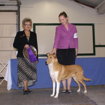 Wb for her first 4 point major under judge Sandra Thompson at the Central Kansas Collie Club specialty
