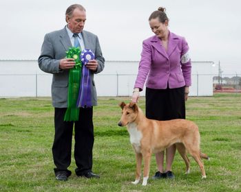 RWB to the major (her sister was WB) and Best Puppy under judge Mike Van Tassell at the South Texas CC specialty
