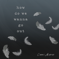 How Do We Wanna Go Out by Cami Maree